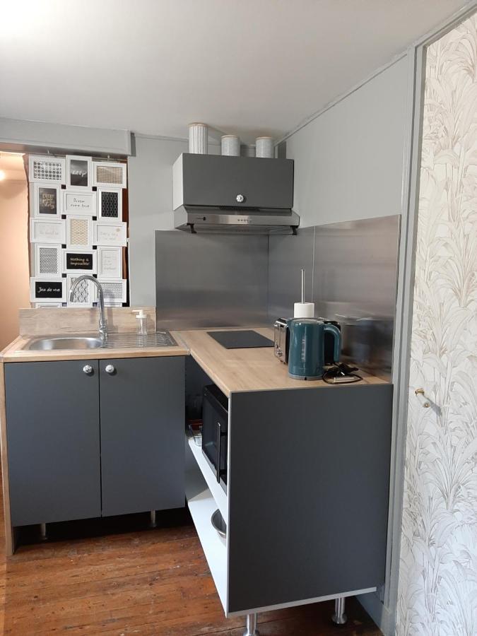 Dans Moulin Au Bord De L'Eau, Appartement Chaleureux Saint-Pryvé-Saint-Mesmin Exteriér fotografie
